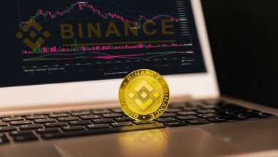 bnb-looks-bearish-at-$984-and-link-shows-weakness-at-$23-while-digitap-enjoys-analyst-20x-forecast