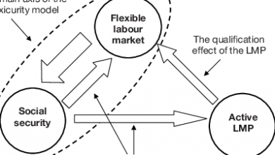 how-the-danish-“flexicurity”-model-and-digital-platforms-are-redefining-financial-stability